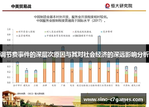 调节费事件的深层次原因与其对社会经济的深远影响分析