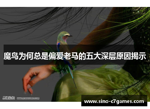 魔鸟为何总是偏爱老马的五大深层原因揭示