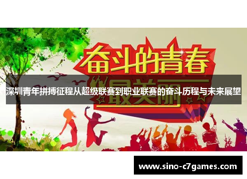 深圳青年拼搏征程从超级联赛到职业联赛的奋斗历程与未来展望